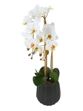 Henriette - Pianta Orchidea 2 Rami con Vaso - Real Touch Flowers Nero