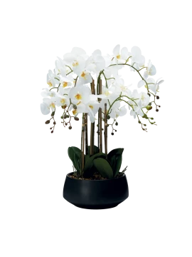 Henriette - Pianta Orchidea 8 Rami con Vaso - Real Touch Flowers Nero
