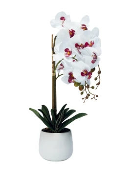 Henriette - Pianta Orchidea 3 Rami con Vaso - Real Touch Flowers Bianco