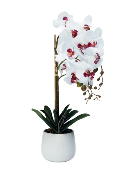 Henriette - Pianta Orchidea 3 Rami con Vaso - Real Touch Flowers Bianco