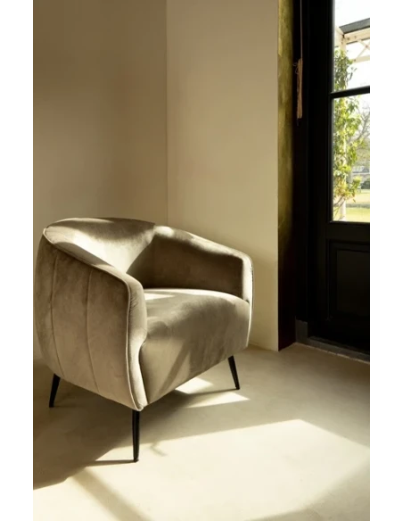 PTMD - Vinn Armchair - Dove Grey Velvet