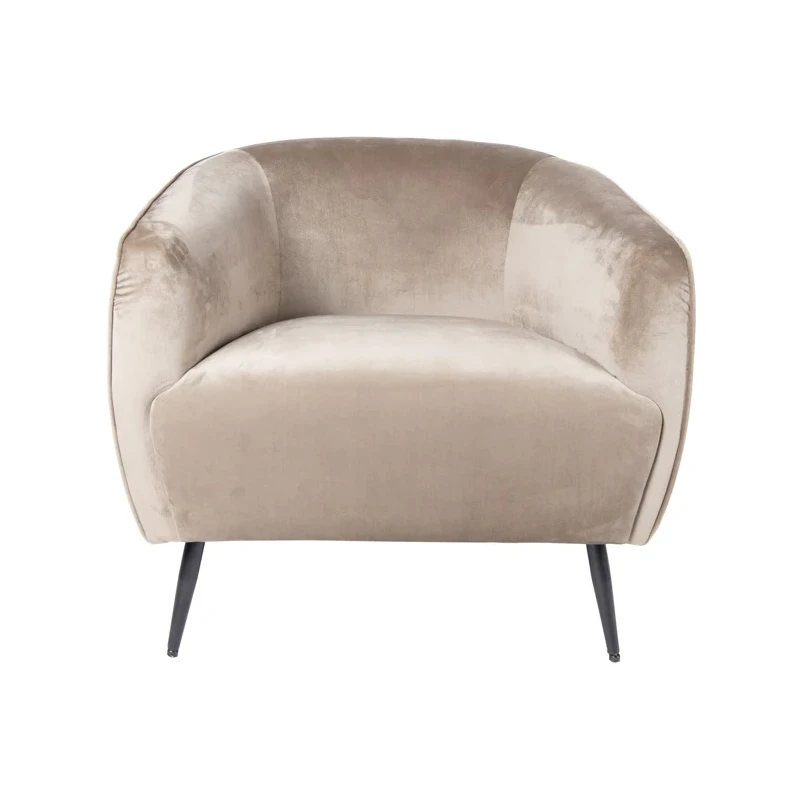 PTMD - Vinn Armchair - Dove Grey Velvet
