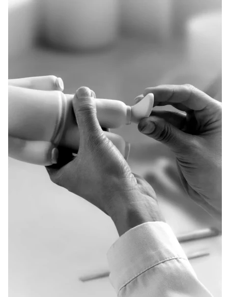 Lladró - Scultura The Silver Guest - Argento / Bianco