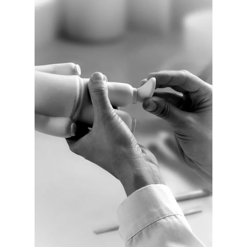 Lladró - Scultura The White Guest - Bianco