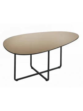 Capodarte - Ginni Shaped Coffee Table - Black / Bronze
