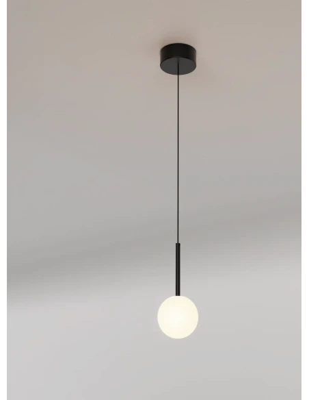 Mantra - Cellar Single Pendant Lamp - Black
