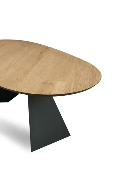 Capodarte - Tokyo Oval Table - Black / Raw Oak