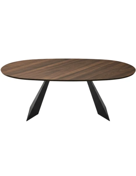 Capodarte - Tokyo Oval Table - Black / Eucalyptus