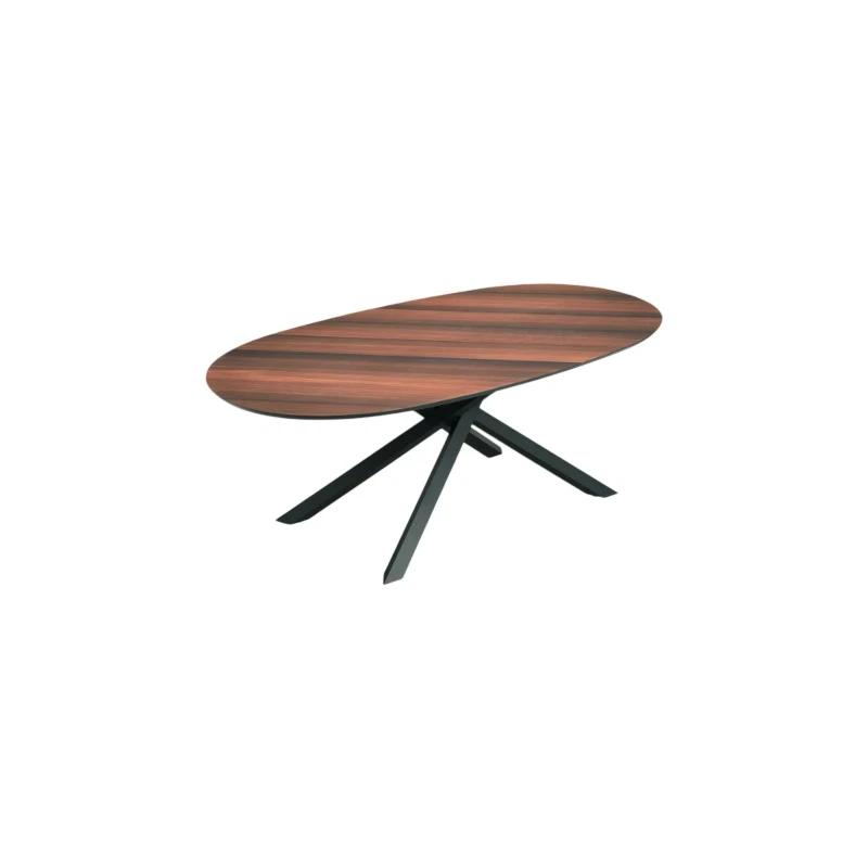 Capodarte - Ron Oval Table - Black / Eucalyptus