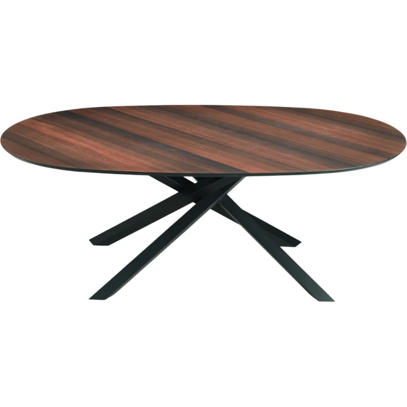 Capodarte - Ron Oval Table - Black / Eucalyptus