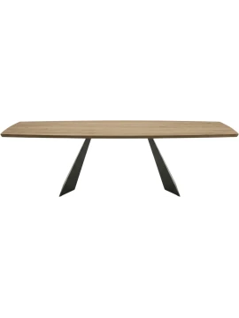Capodarte - Gilmour Fixed Table - Black / Raw Oak