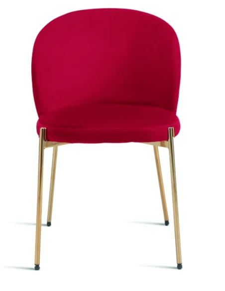 Capodarte - Megan Upholstered Chair - Gold / Red Velvet