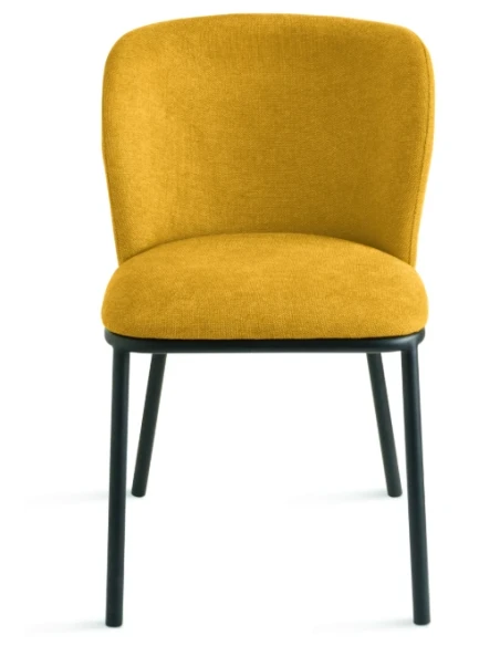 Capodarte - Evissa Upholstered Chair - Black / Yellow Fabric