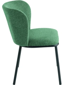 Capodarte - Evissa Upholstered Chair - Black / Green Fabric