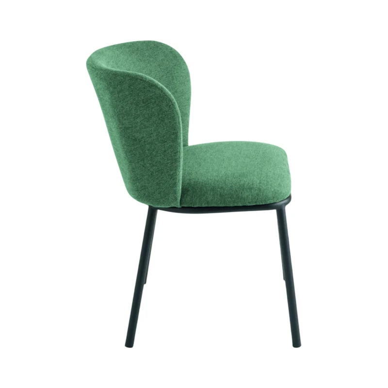 Capodarte - Evissa Upholstered Chair - Black / Green Fabric