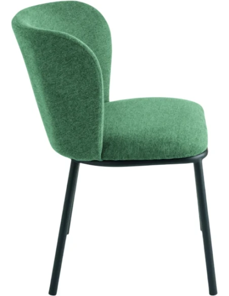 Capodarte - Evissa Upholstered Chair - Black / Green Fabric