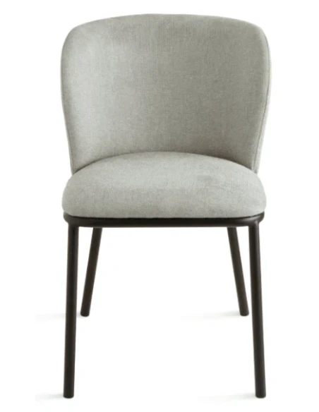 Capodarte - Evissa Upholstered Chair - Black / Light Grey Fabric