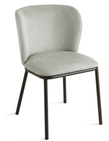 Capodarte - Evissa Upholstered Chair - Black / Light Grey Fabric