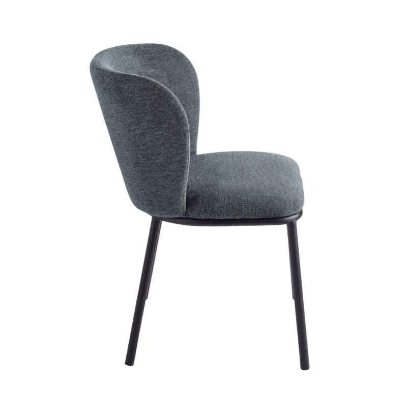 Capodarte - Evissa Upholstered Chair - Black / Smoke Grey Fabric