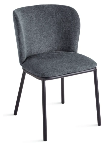 Capodarte - Evissa Upholstered Chair - Black / Smoke Grey Fabric