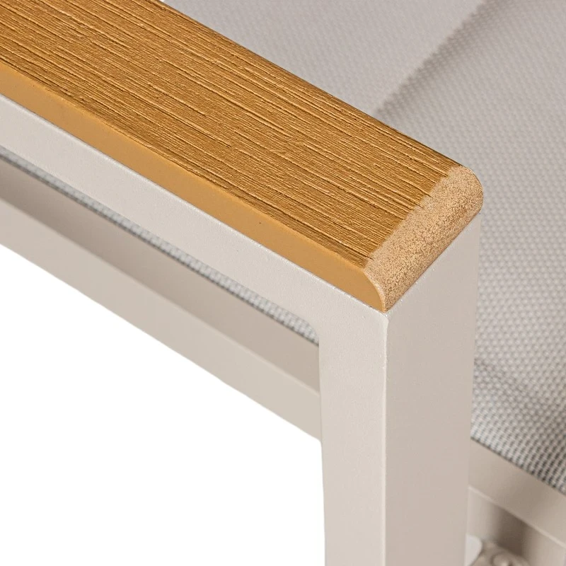 Camacho - Vargas Upholstered Outdoor Chair with Wood Inserts - Cream Aluminum / Cream Fabric