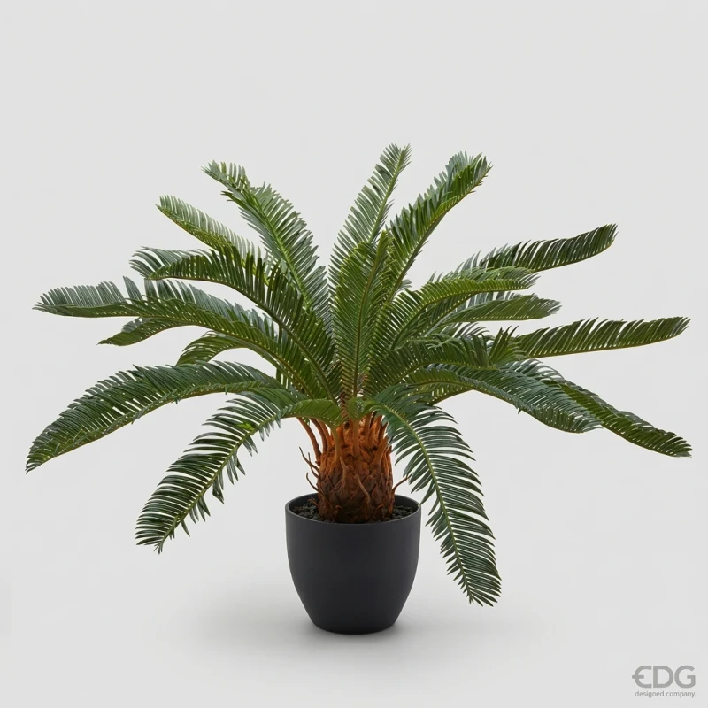 EDG - Pianta Artificiale Palma Cycas con Vaso