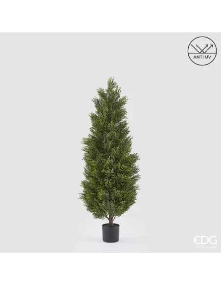 EDG - Artificial Cypress Plant with UV Protection and Pot - H 150 cm