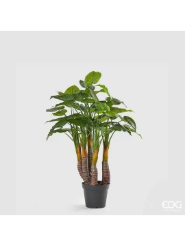 EDG - Filodendro con Vaso - H 120 cm