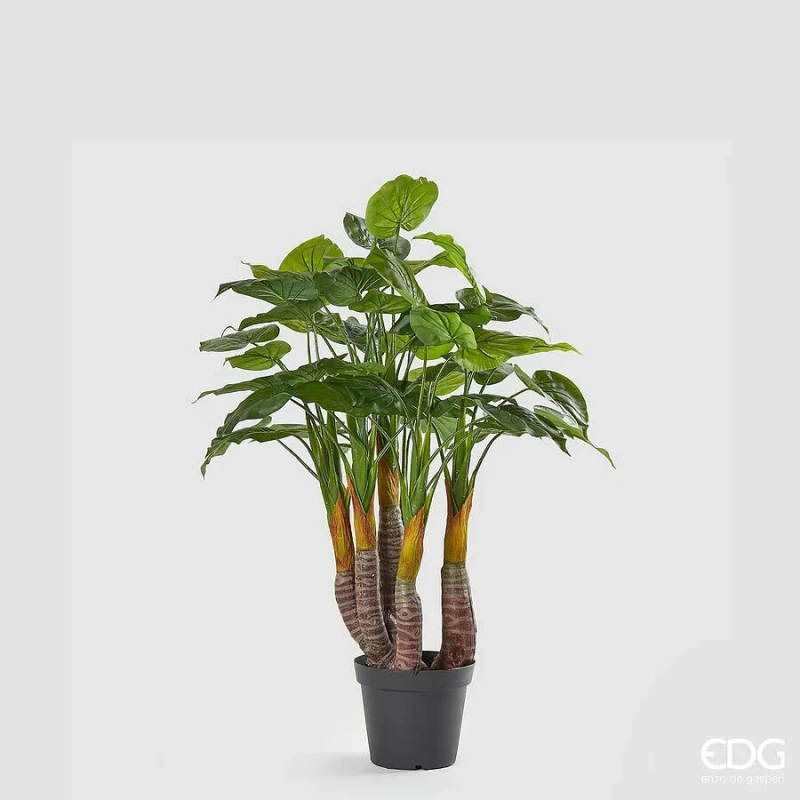 EDG - Philodendron with Vase - H 120 cm