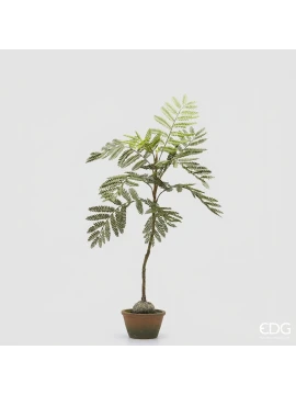 EDG - Jacaranda Bulb with Vase