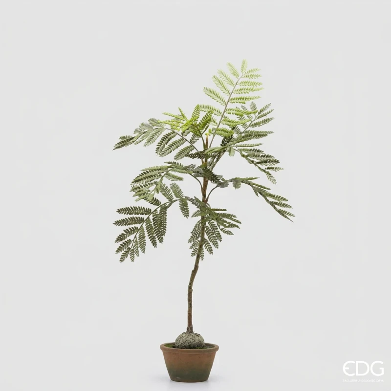 EDG - Jacaranda Bulb with Vase