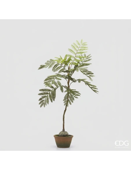 EDG - Jacaranda Bulb with Vase