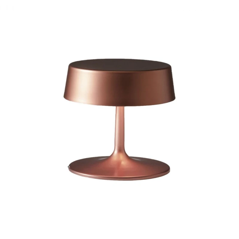 Penta - China Table Lamp - Matte Bronze