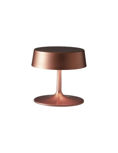 Penta - China Table Lamp - Matte Bronze