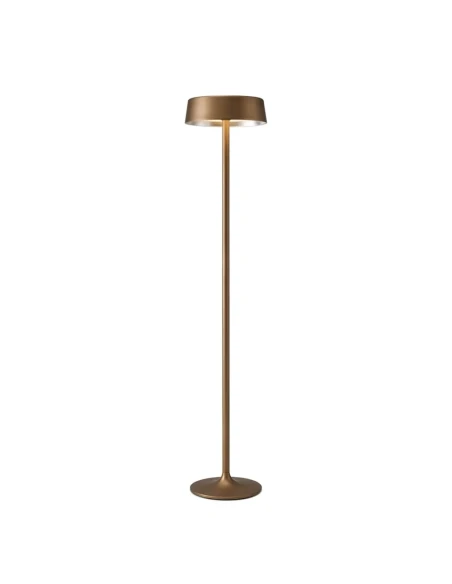 Penta - China Floor Lamp - Matte Bronze