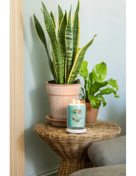 Yankee Candle - Aloe & Agave - Candela in Giara Grande