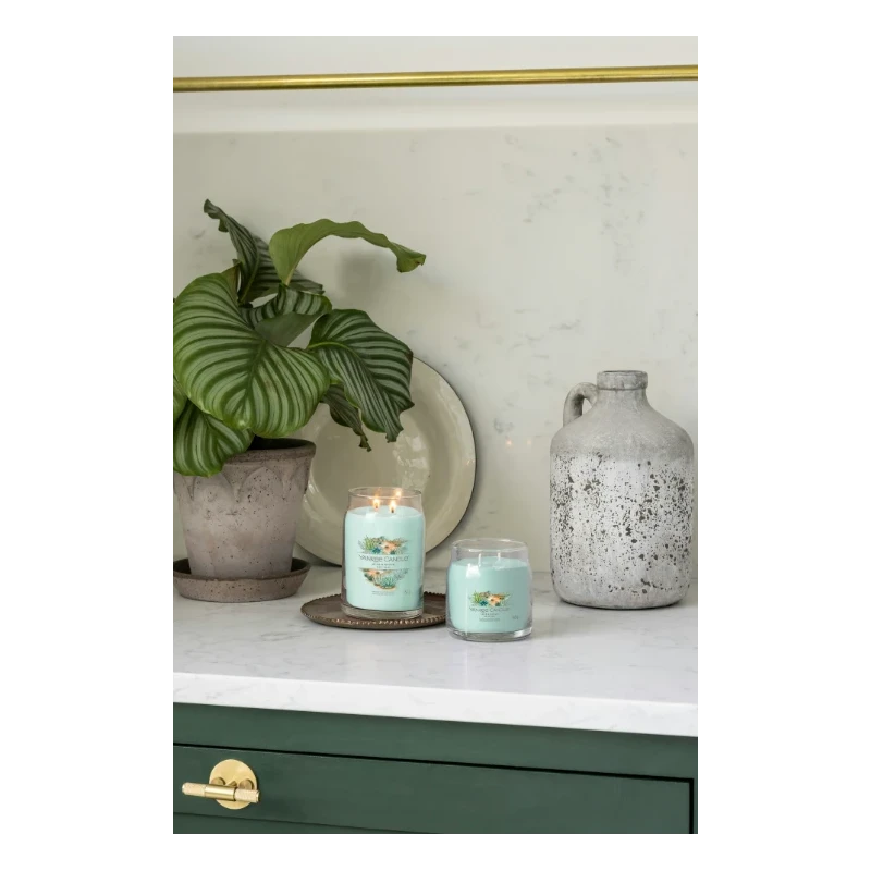 Yankee Candle - Aloe & Agave - Medium Jar Candle