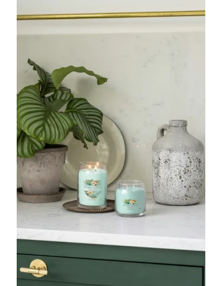 Yankee Candle - Aloe & Agave - Candela in Giara Media