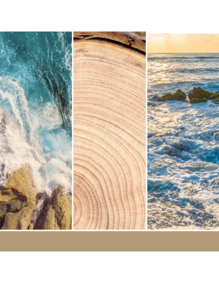 Yankee Candle - Amber & Sandalwood - Candela in Giara Media