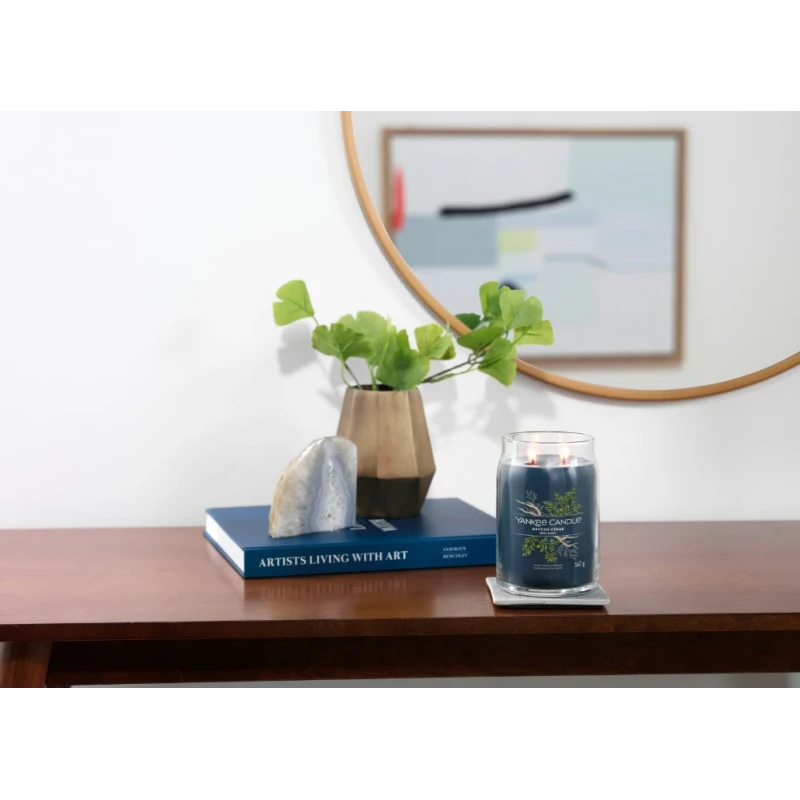 Yankee Candle - Bayside Cedar - Candela in Giara Grande