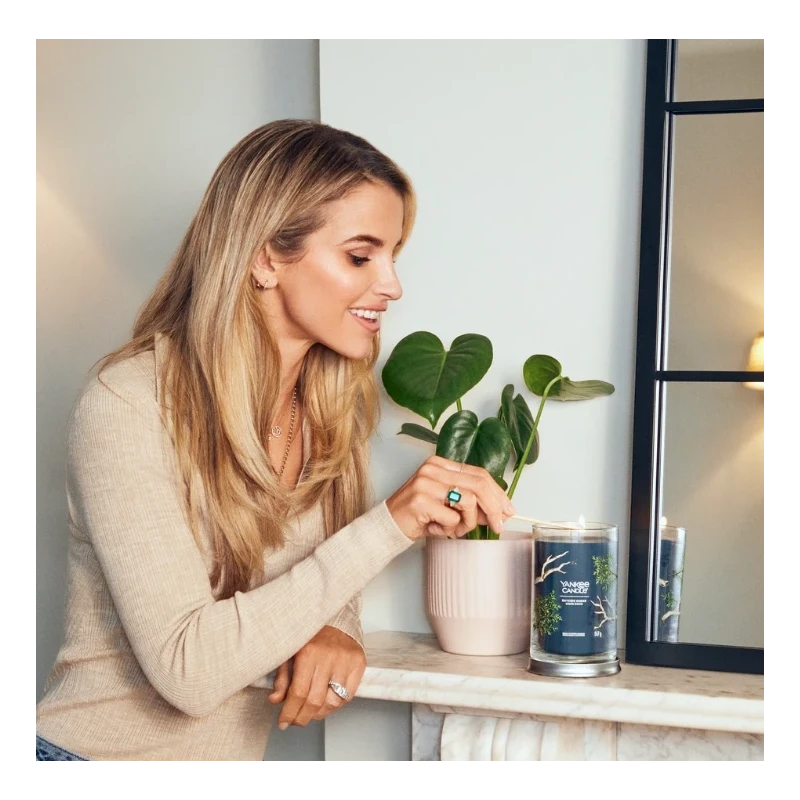 Yankee Candle - Bayside Cedar - Candela in Giara Grande