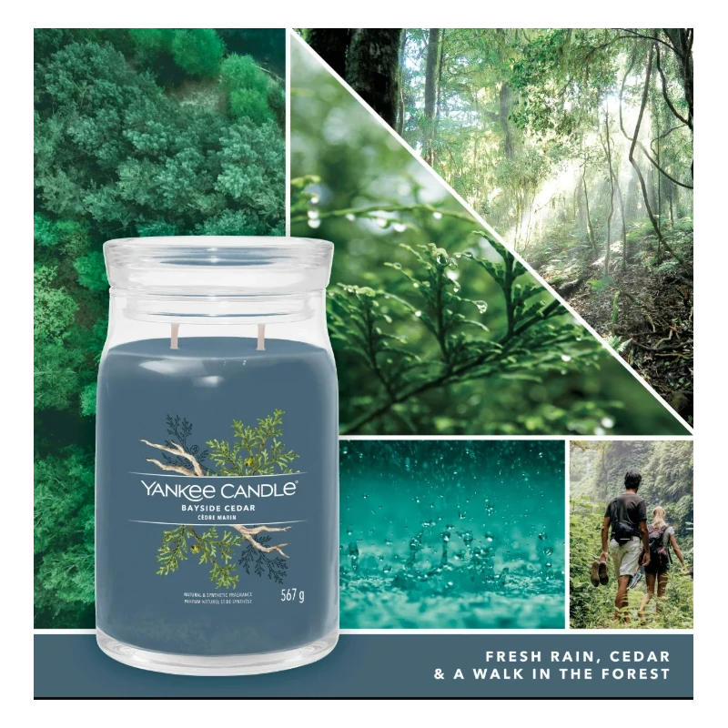 Yankee Candle - Bayside Cedar - Large Jar Candle