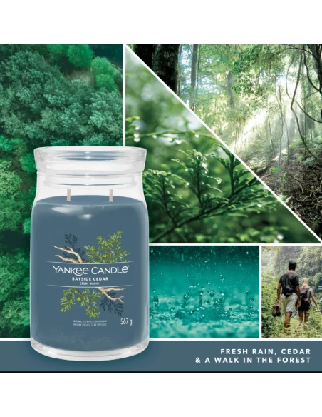 Yankee Candle - Bayside Cedar - Candela in Giara Grande