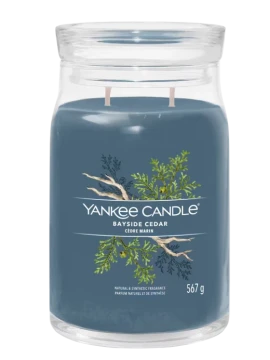Yankee Candle - Bayside Cedar - Large Jar Candle