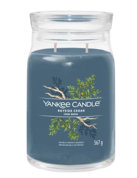 Yankee Candle - Bayside Cedar - Candela in Giara Grande
