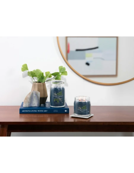 Yankee Candle - Bayside Cedar - Medium Jar Candle