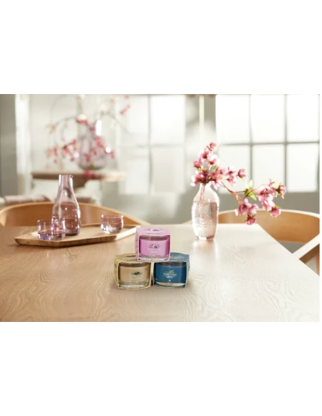 Yankee Candle - Bayside Cedar - Candela Votiva in Vetro