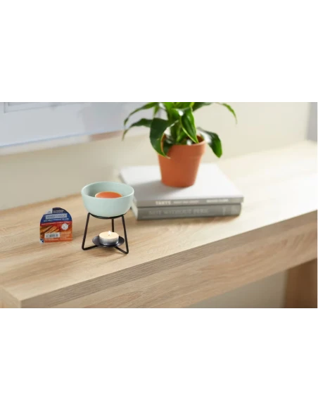 Yankee Candle - Cinnamon Stick Melting Wax