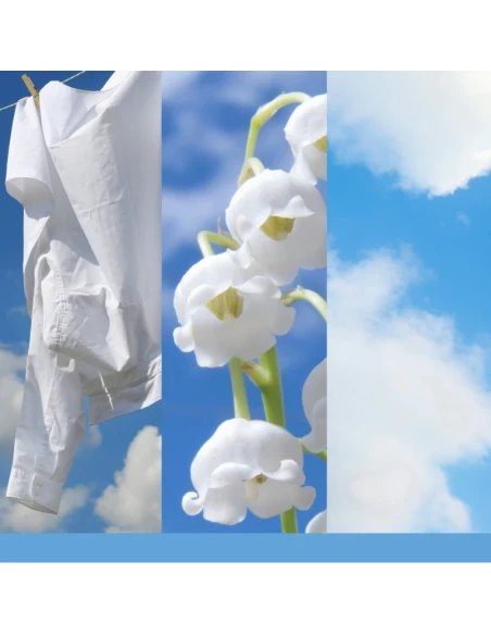 Yankee Candle - Clean Cotton® Medium Jar