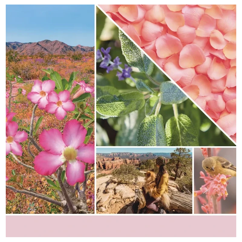 Yankee Candle - Desert Blooms Candela in Giara Grande